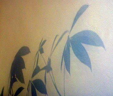 mexican fortune shadows