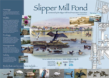 slipper mill pond