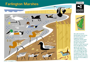farlington marshes