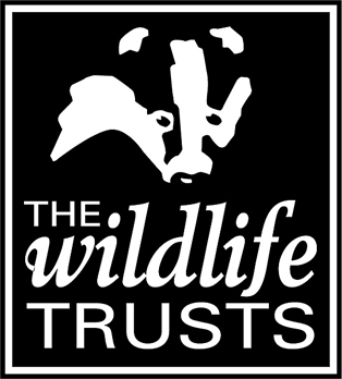 the wildlife trusts