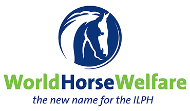 world horse welfare
