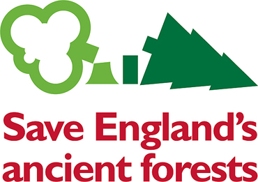 save englands ancient forests