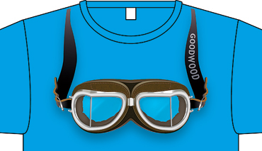 goodwood goggles