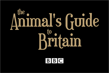 the animal's guide to britain